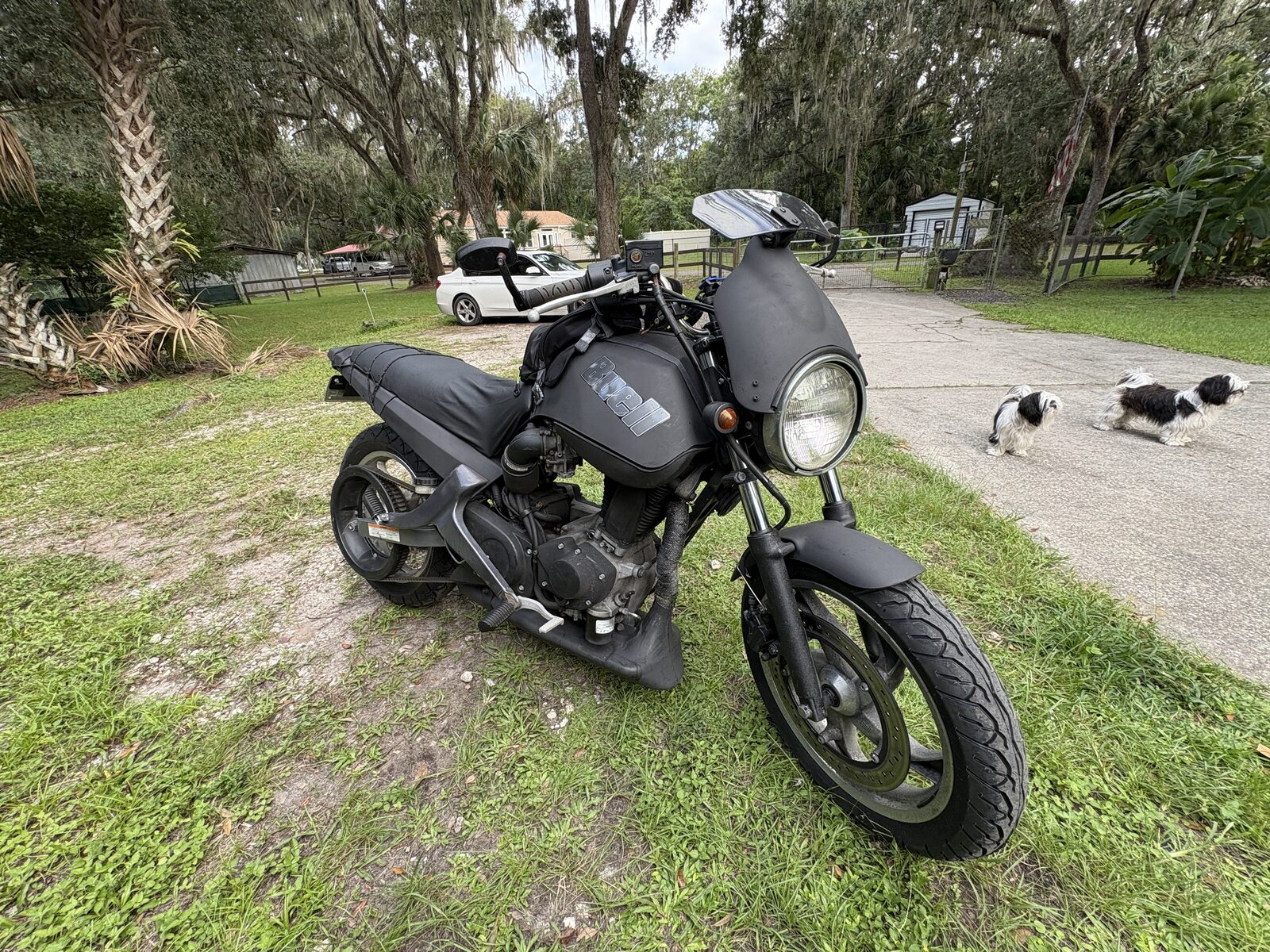 The finished Buell Blast