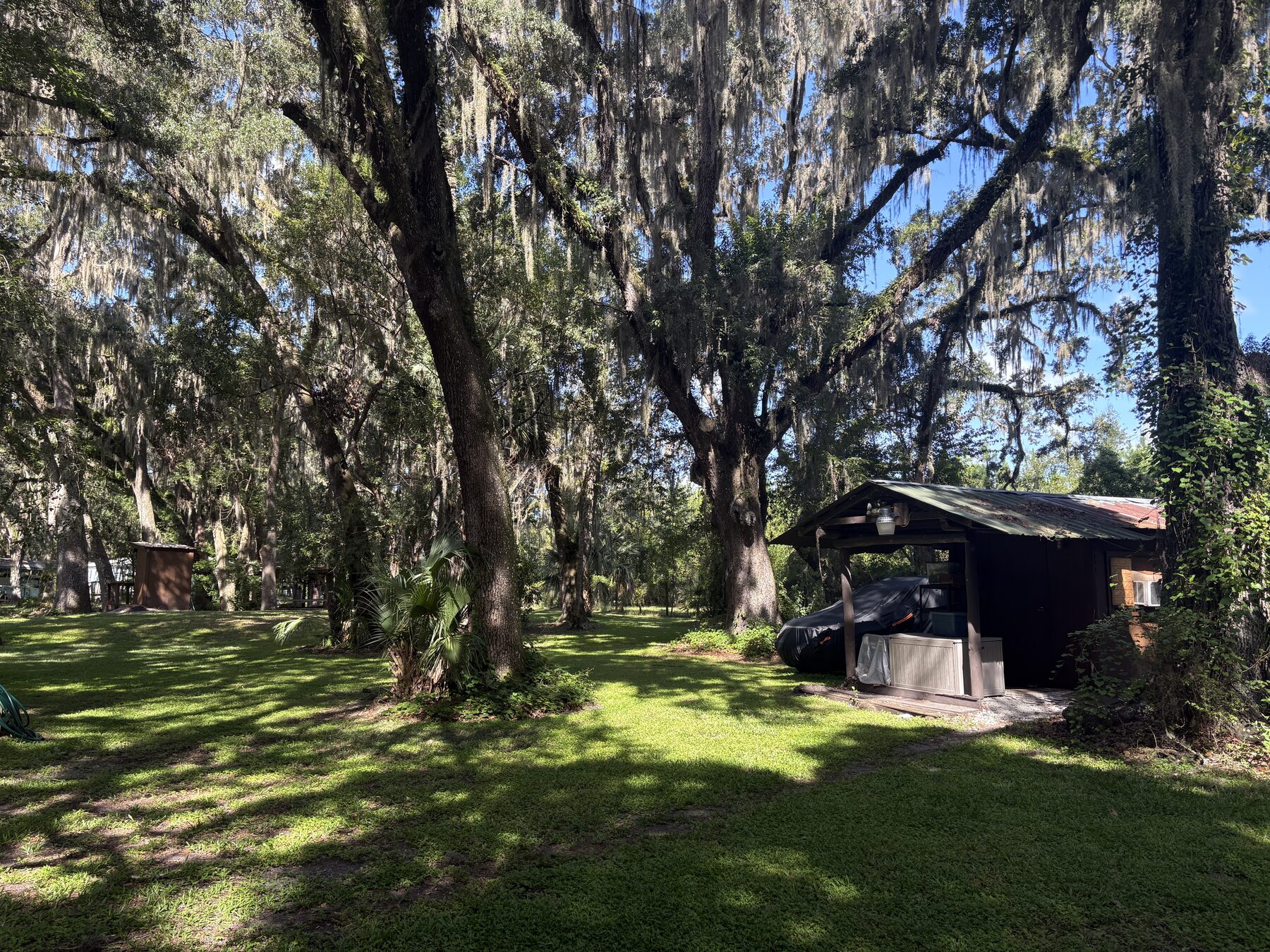 The clearing: live oaks hung with Spanish moss over mown grass, the building small and dark at the right edge under the trees